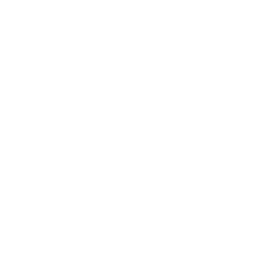 House of Yes